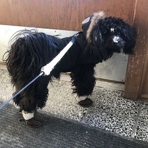 Meet your Posher, Jenna